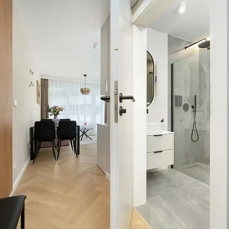 Apartment Elegant Mieszczanska With Air Conditioning, & Gym By Renters Prestige