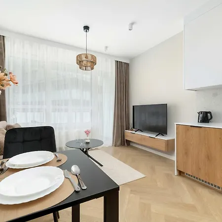 Elegant Mieszczanska With Air Conditioning, & Gym By Renters Prestige Apartment