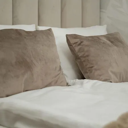 Elegant Mieszczanska With Air Conditioning, & Gym By Renters Prestige Apartment *
